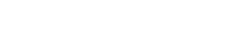 BV Bienes Raíces